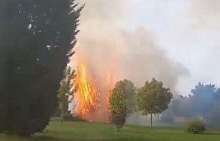 Parkta çıkan yangın itfaiye ekiplerince söndürüldü