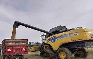 Pehlivanköy’de çeltik hasadı başladı