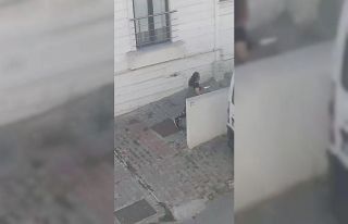 Pendik’te gürültüden rahatsız oldu: Bıçakla...