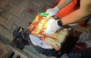 Polis ekipleri TEM’de durdukları tırdan onlarca...