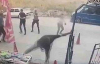 Polisi bıçakla yaralayan hırsız bacaklarından...