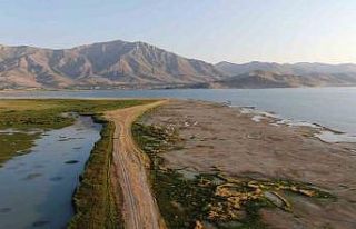 Prof. Dr. Aslan: “Van Gölü’nün sulak alanları...