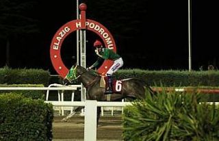 Prof. Dr. Mustafa Temizer Koşusunda kazanan Göbeklitepe...