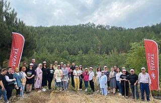 Sağlık çalışanları ağaçların da bakımını...