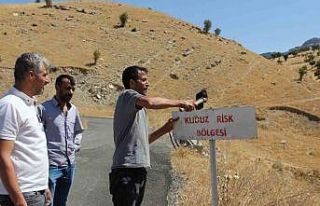 Sahibini ısıran at kuduz çıktı, köy karantinaya...