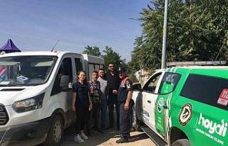 Sahipsiz köpek denetimi