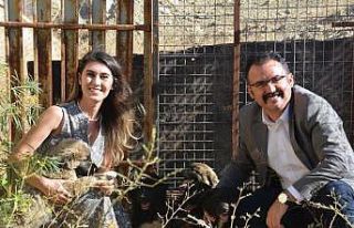 Sahipsiz yavru köpeklere kaymakam ve eşi sahip çıktı