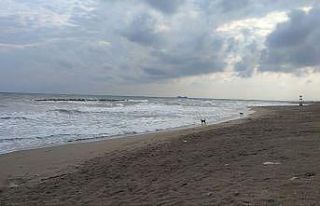 Sakarya’nın o ilçelerinde denize girişler yasaklandı