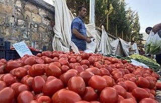Salçalık domates ve biberler tezgahlarda