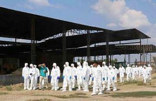 Salgın hastalıklara hazırlık eğitimi ve tatbikatı...