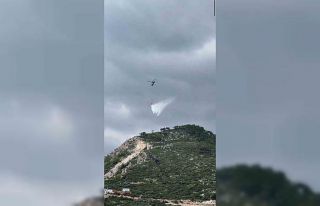 Samandağ’da çıkan orman yangını kontrol altına...