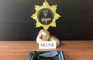 Şanlıurfa’da 5,5 kilo skunk ele geçirildi: 5...