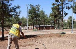 Şanlıurfa’da yeşil alanlar artıyor
