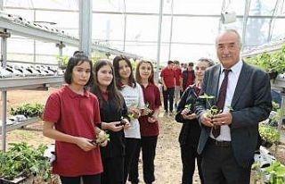 Sarıcakaya’da çilekler, topraksız tarım ve su...