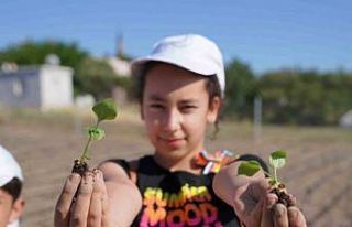 Seferihisar’ın yüzü tarımla gülüyor