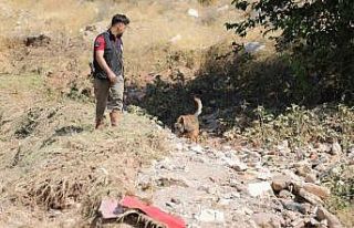 Selde kaybolan Asel bebek özel eğitimli köpekler...