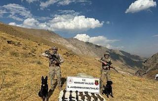 Şemdinli kırsalında 2 sığınakta silah ve mühimmat...