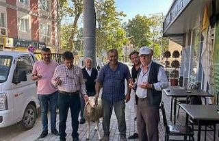 Servisçiler dualar edip kurban keserek sezona başladı