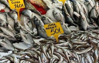 Sezonun ilk balıkları tezgahlarda