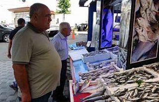 Sezonun ilk günü tezgâhlarda görünmeyen hamsi...