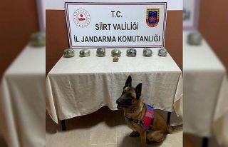 Siirt’te peynir bidonuna gizlenmiş uyuşturucu...