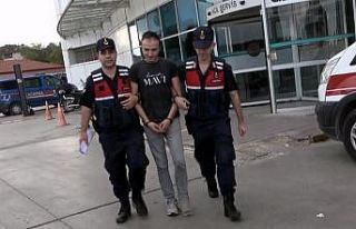 Silahla 3 büyükbaş hayvanı telef eden şahıs...