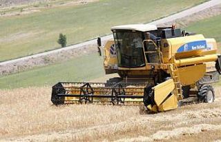 Sincan Belediyesinden çiftçilere buğday tohumu...