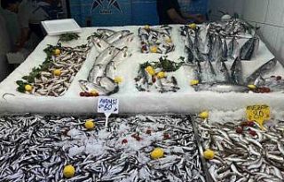 Sinop’ta hamsi tezgaha geldi