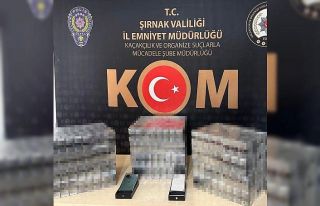 Şırnak’ta kaçakçılık ve asayiş operasyonu:...
