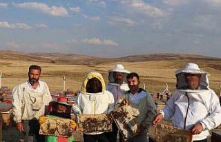 Sivas çiçek balı üretiminde ilk sırada