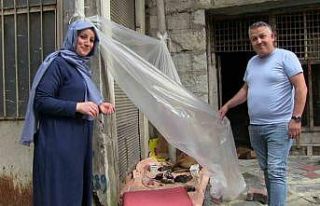 Sokak köpeği ve 12 yavrusuna esnaf sahip çıktı