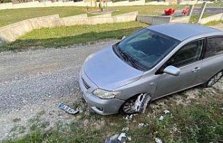 Sokak köpekleri park halindeki araca zarar verdi