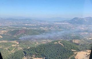 Soma’daki orman yangınını söndürme çalışmaları...