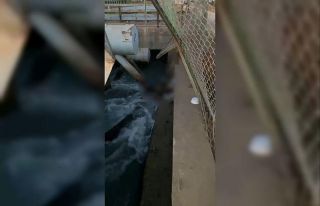 Sulama kanalında ceset bulundu