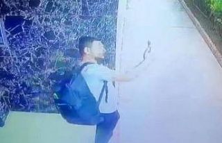 Sultangazi’de pişkin hırsız ayakkabıları çalıp...