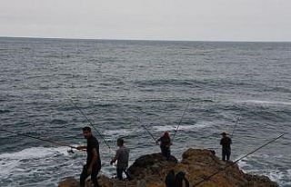 Tabiat harikası koyda balık avı