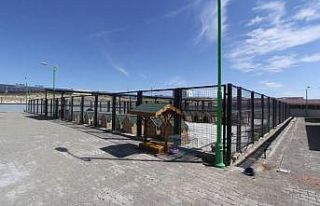 Taraflar barınağa bağış yapma şartıyla uzlaştılar