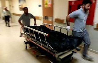 Tarlada çalışırken arının soktuğu kadın hayatını...