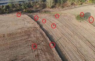 Tarlada göçmen kovalamacası dron kamerasında:...