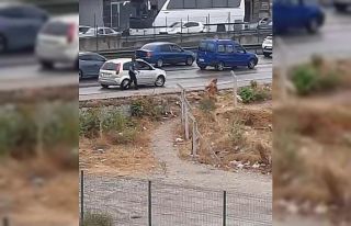 Tartıştığı kadını kemerle darp etti... O anlar...