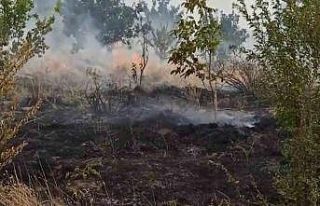 Tatvan’da örtü yangını