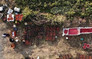 Tatvan’da salça kadınların gelir kapısı haline...