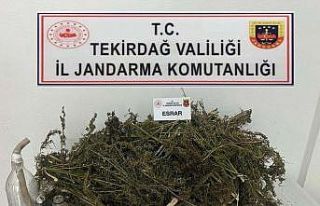 Tekirdağ’da 3 kilo uyuşturucu ele geçirildi