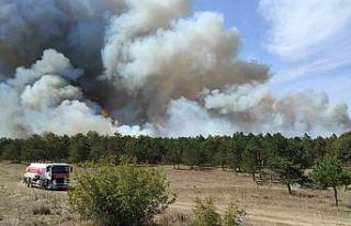 Tekirdağ’da orman yangını