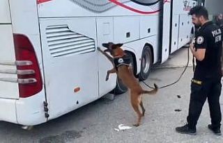 TEM’de durdurulan yolcu otobüsünden 76 kilo eroin...