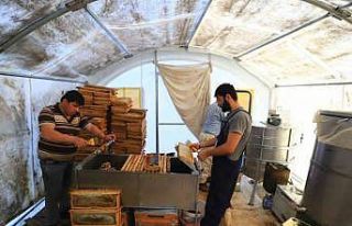 ‘Temiz Petek’ projesi başladı