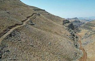 Terörün yerini huzura bıraktığı dağlar şenlendi