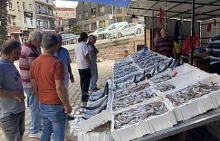 Tezgahlar hamsiyle doldu, vatandaşlar ilgi gösterdi