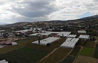 Tokat’taki küçük Antalya: Bu köy göç vermiyor...