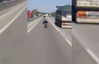 Trafik magandasının tehlikeli motosiklet yolcuğu...
